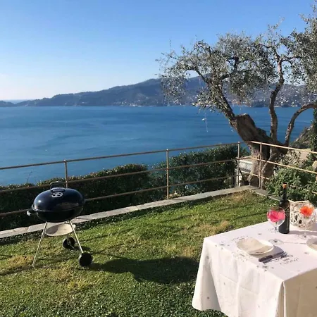 Del Sol * زواليي